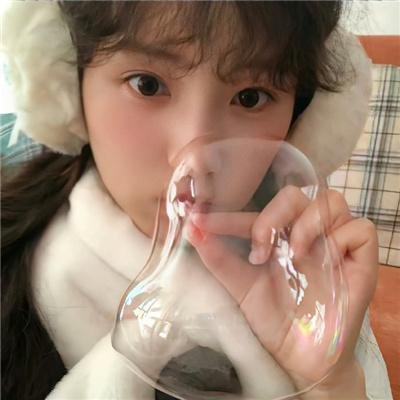 间谍过家家代号:白